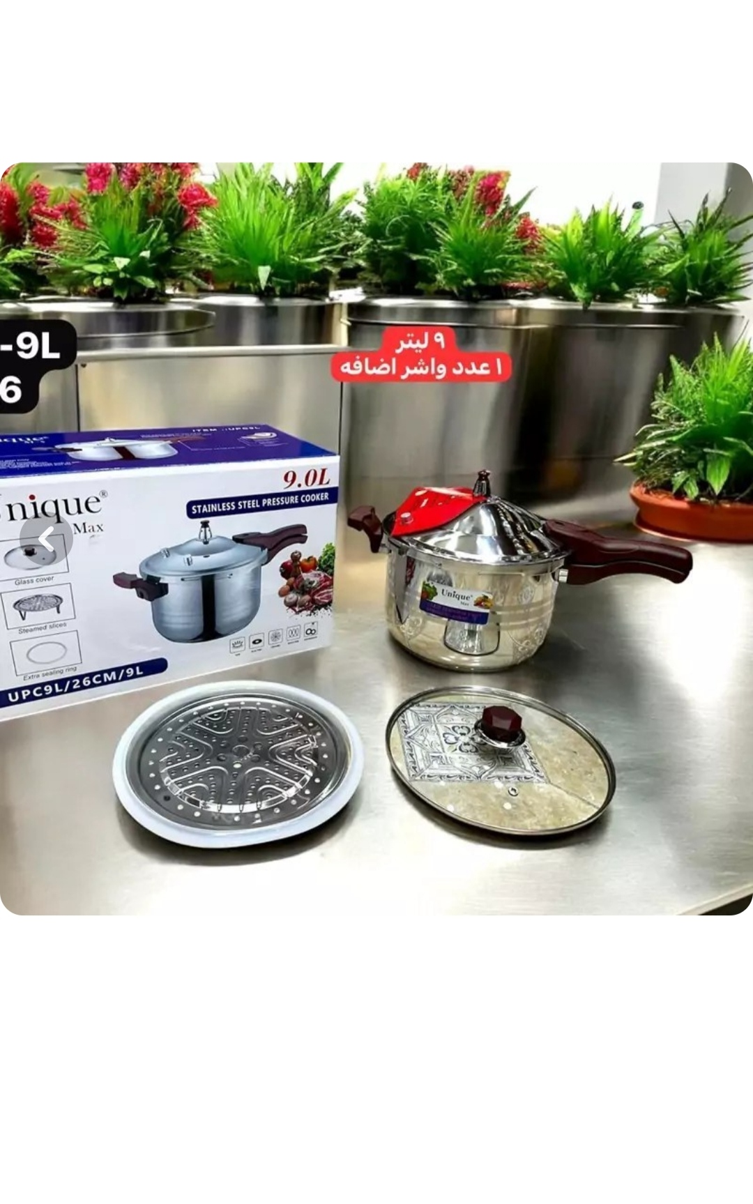 زود پز 9 لیتری یونیک مکس سه کاره